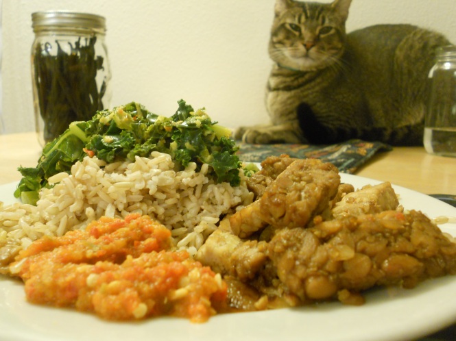 Spicy Sambal, Tempeh Me Goreng, and Curried Greens (with my cat waiting to steal some food)